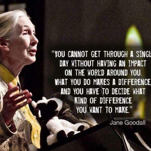 Meet your Posh-bro, Logan - Picture 9 of 9